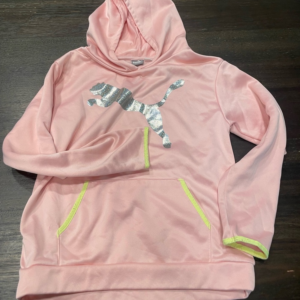 Pink Puma Hoodie with Silver Logo